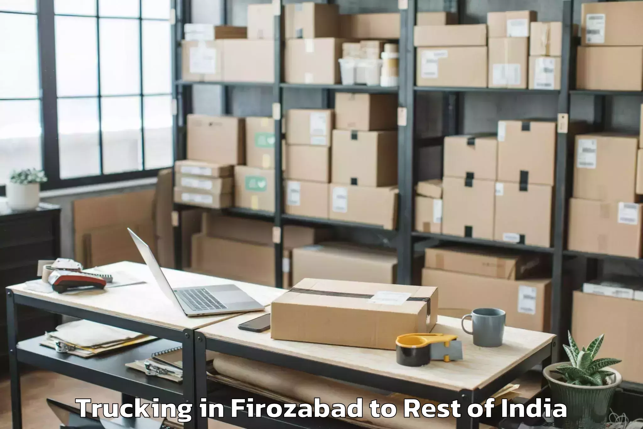 Easy Firozabad to Gangadhar Trucking Booking